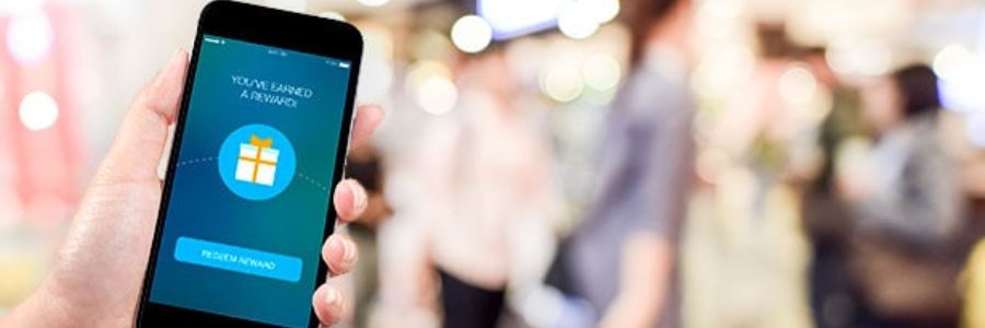 How to Get Profits Through Customer Loyalty Programs?